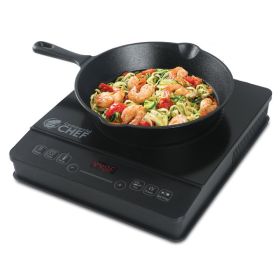 INDUCTION COOKER